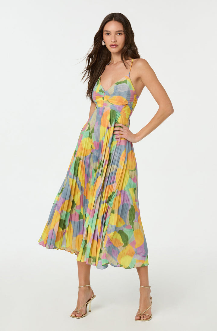 Amelia Claire | Pleated Maxi Dress With Floral Print
