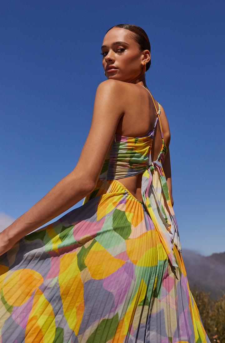 Amelia Claire | Pleated Maxi Dress With Floral Print